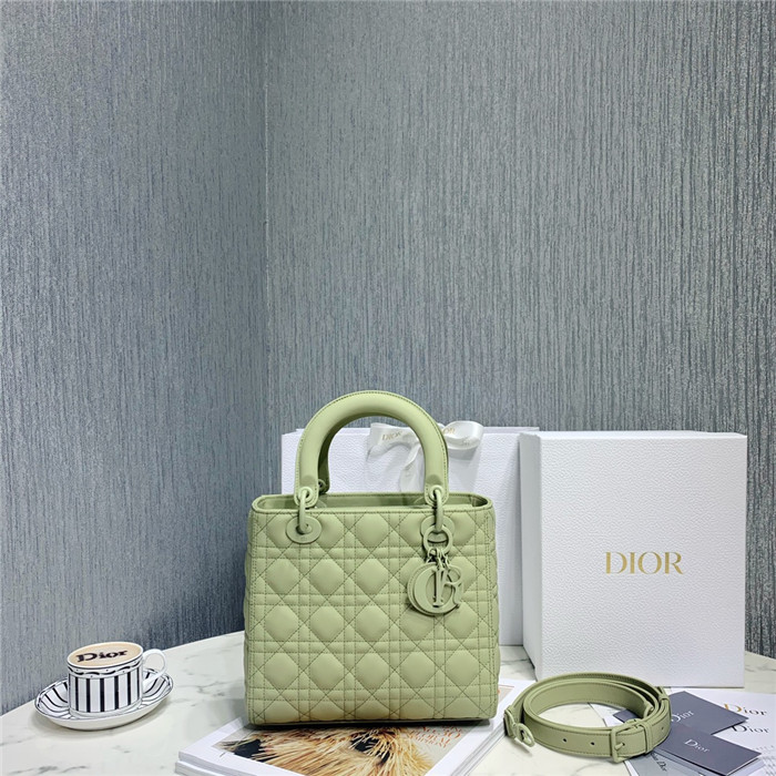 Dior  디올 레이디 24CM D0565