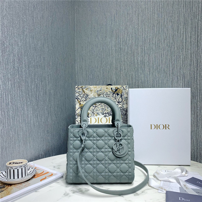 Dior  디올 레이디 24CM D0565