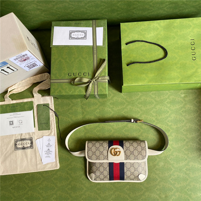 GUCCi 구찌 힙색 674081