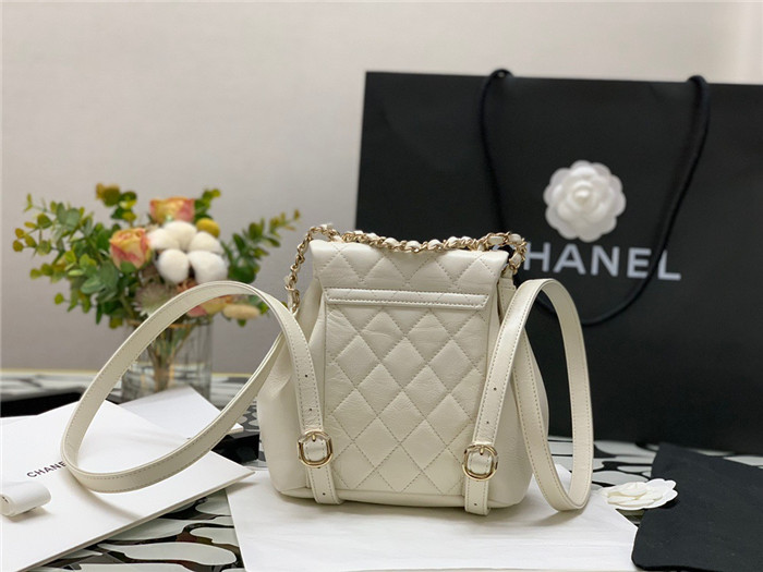 CHANEL 샤넬 미니 백팩 C80884-1