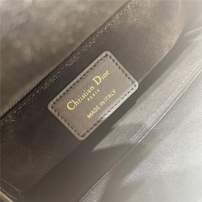 Dior 디올 레이디백 M0538
