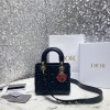 Dior 디올 레이디백 M0538