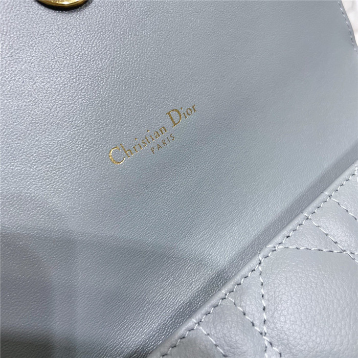 Dior 디올 카로 힙색&크로스백