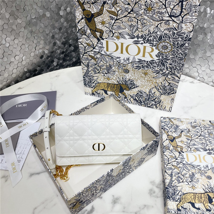 Dior 디올 카로 힙색&크로스백