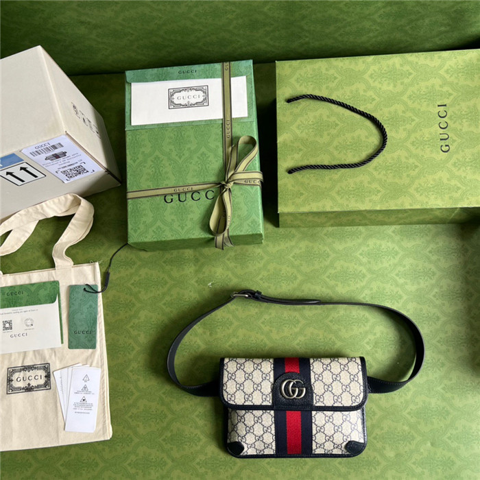 GUCCI 구찌 힙색 674081
