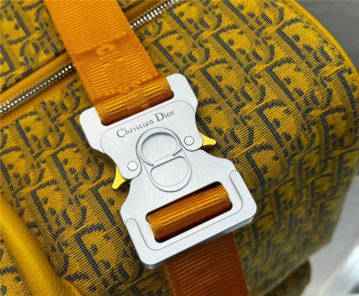 Dior 디올 오블리크 여행용 가방 D5080