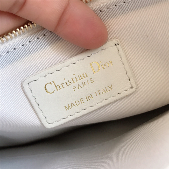 Dior  디올 클러치백 D38070
