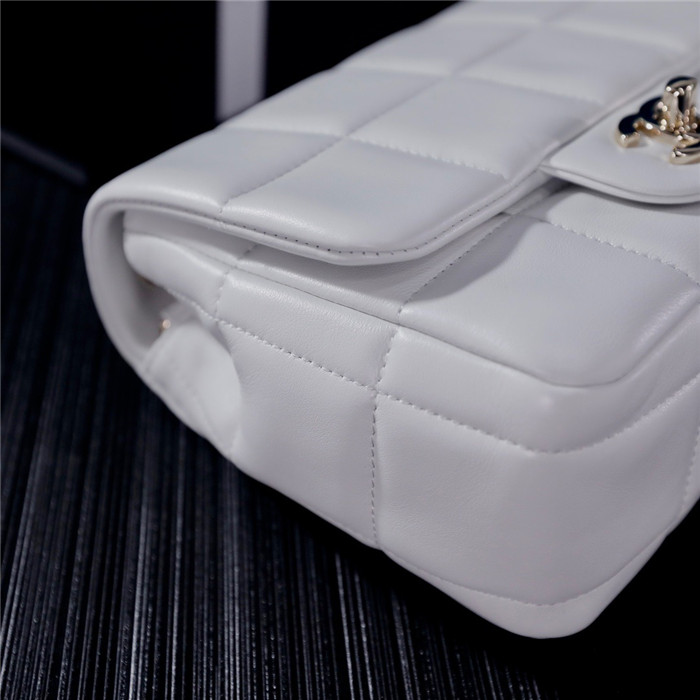 Chanel 샤넬 크로스백 19CM AS3331