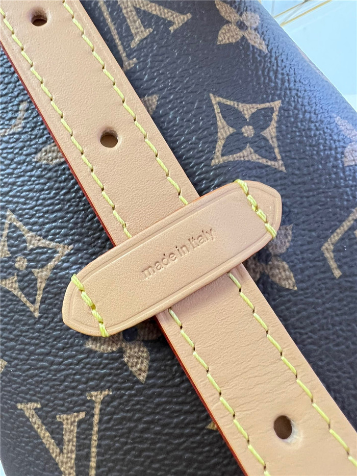 LOUIS VUITTON  루이비통 캐리올 PM M46203