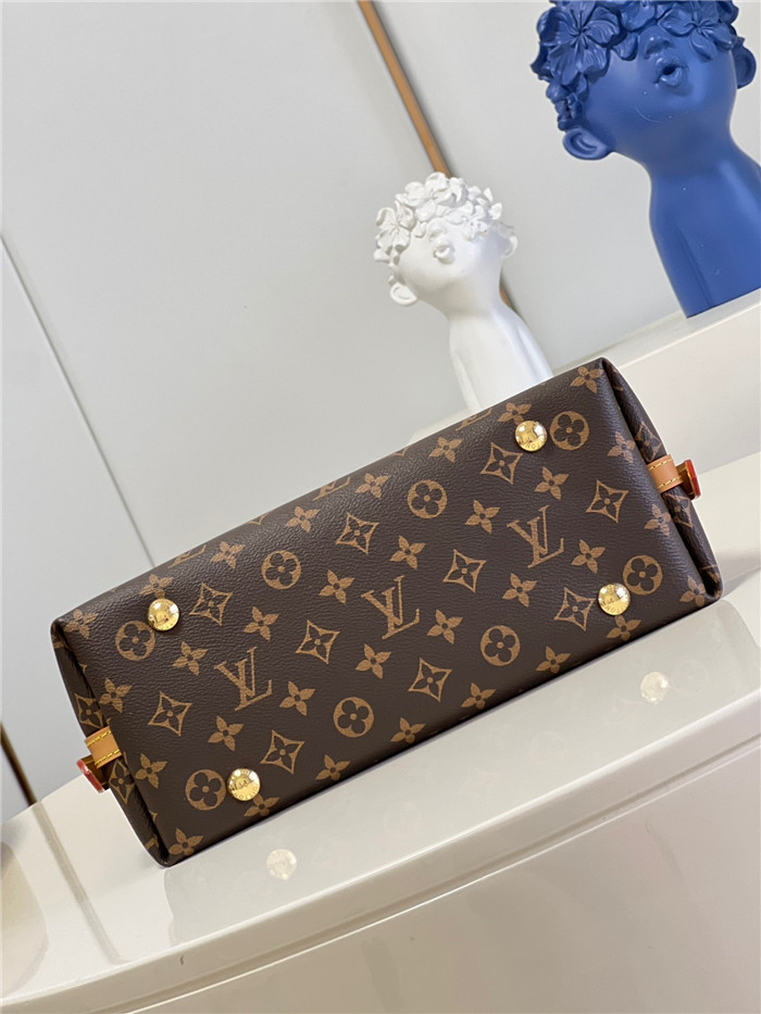  LOUIS VUITTON  루이비통 캐리올 PM M46203