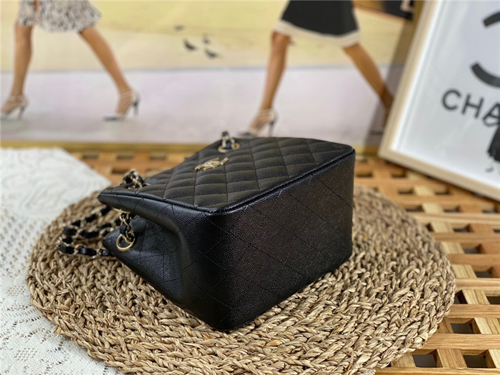  Chanel 샤넬 미니 버킷백 AS3176