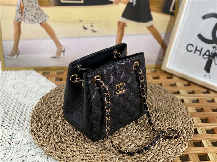  Chanel 샤넬 미니 버킷백 AS3176