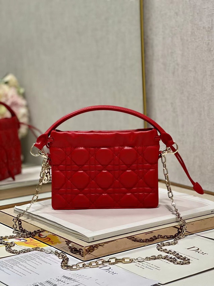 Dior 디올 여성 레이디백 di175x