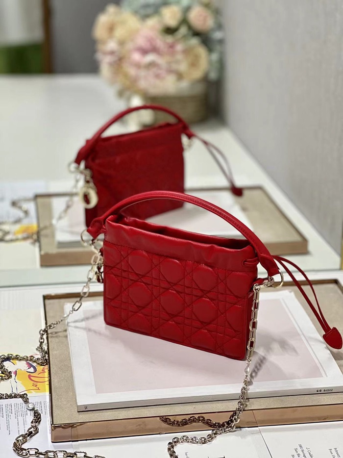 Dior 디올 여성 레이디백 di175x