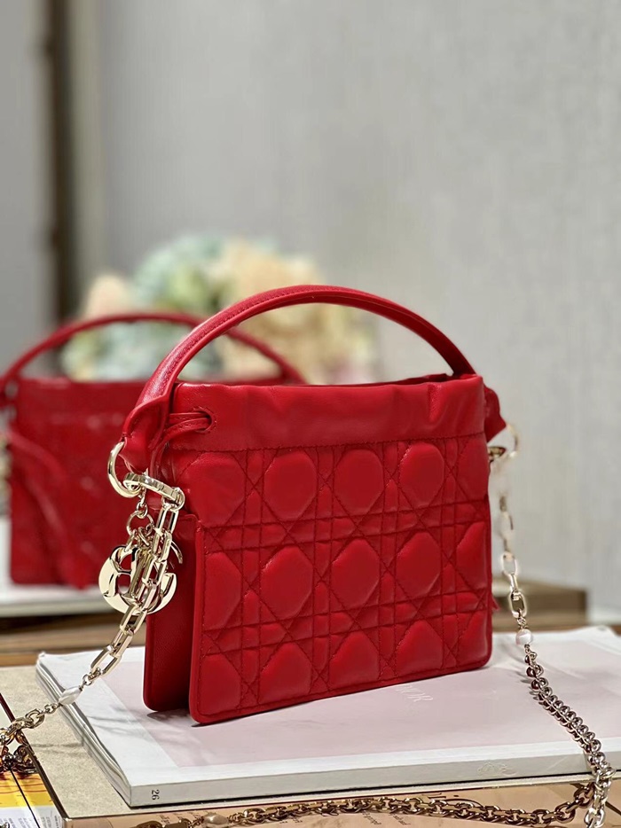 Dior 디올 여성 레이디백 di175x