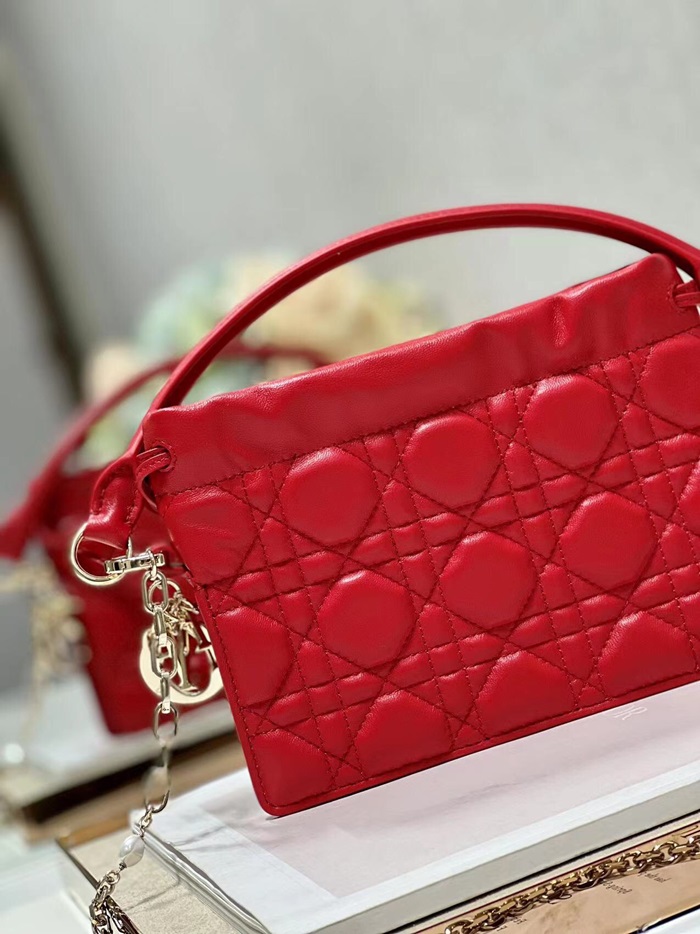 Dior 디올 여성 레이디백 di175x