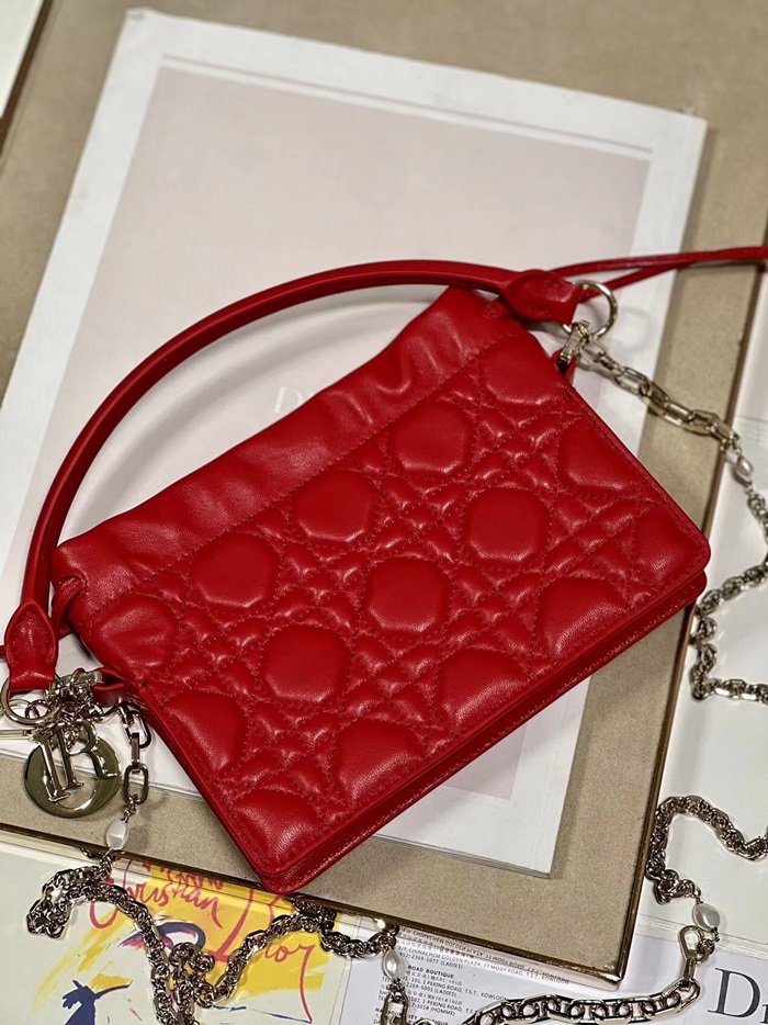 Dior 디올 여성 레이디백 di175x