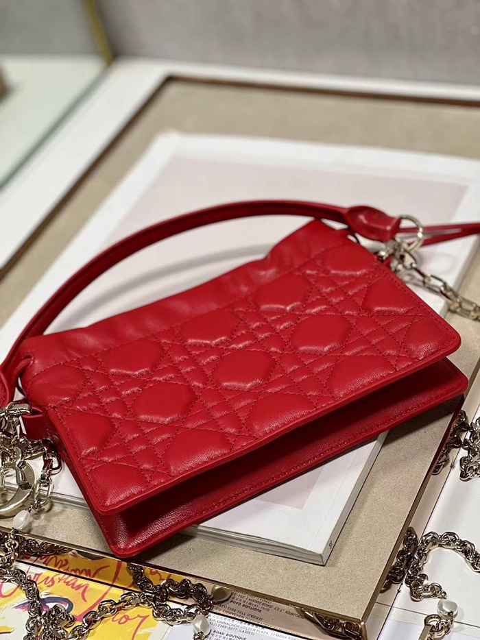 Dior 디올 여성 레이디백 di175x