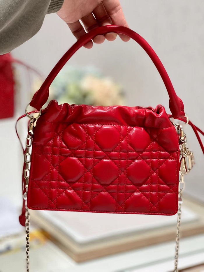Dior 디올 여성 레이디백 di175x