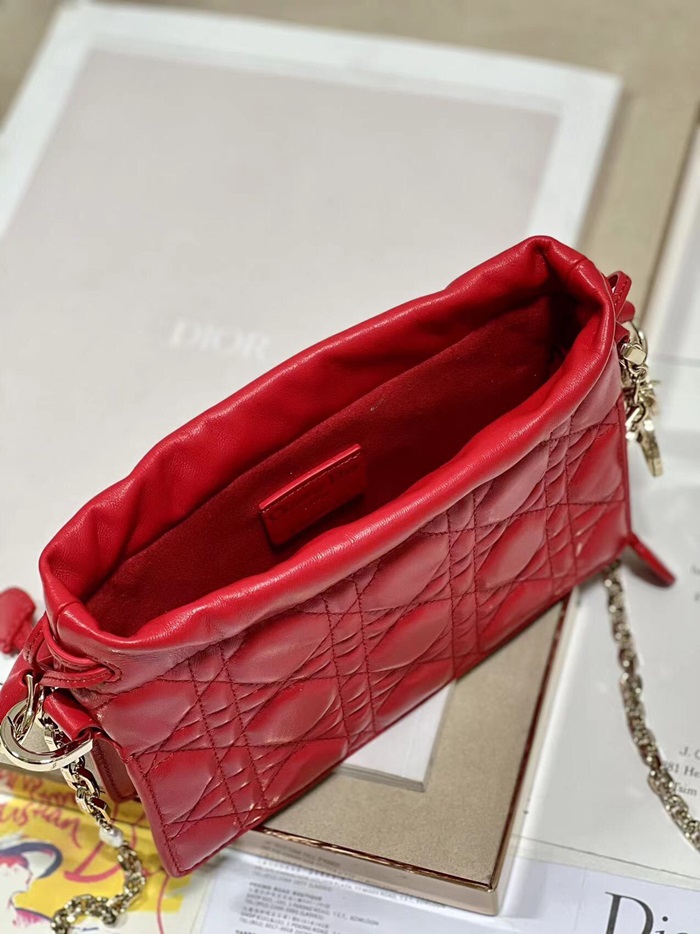 Dior 디올 여성 레이디백 di175x