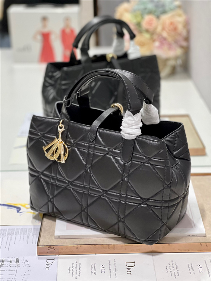 Dior  디올 토트백 D1188