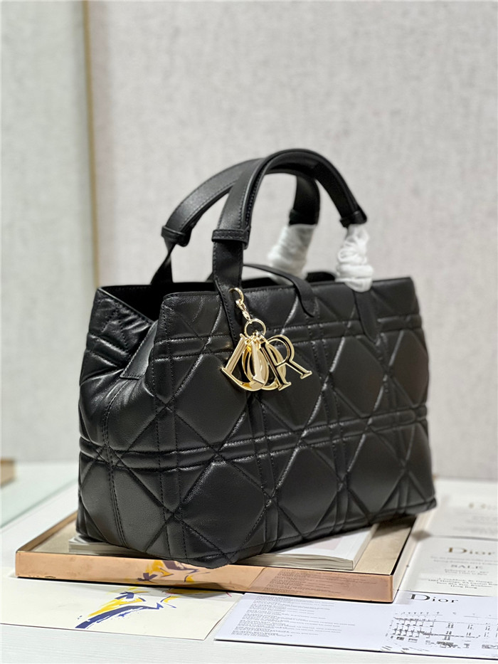 Dior  디올 토트백 D1188
