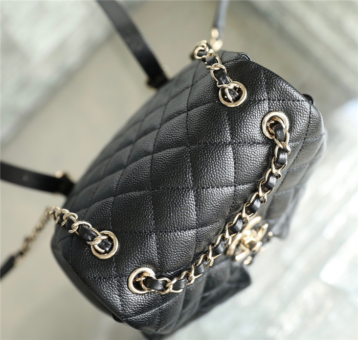  CHANEL 샤넬 듀마 캐비어 백팩 AS8101