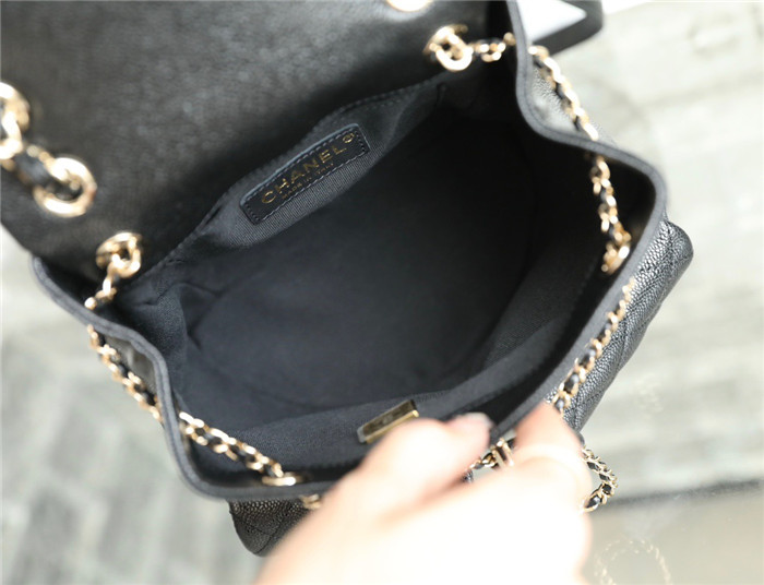  CHANEL 샤넬 듀마 캐비어 백팩 AS8101