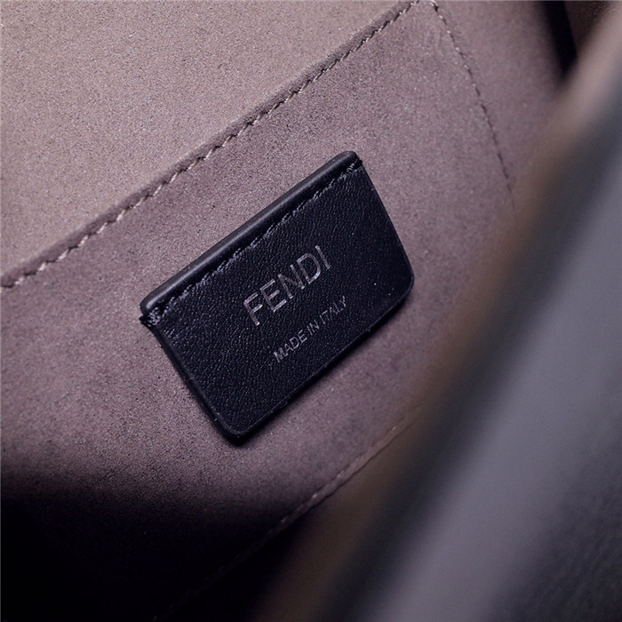 Fendi 펜디 칸아이백 스몰 F50780