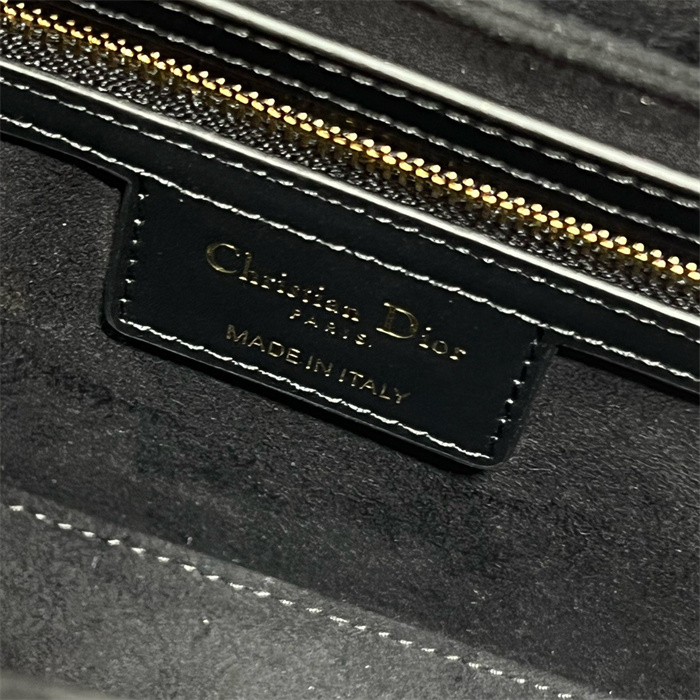 Dior  디올 오벌 카메라백 9088