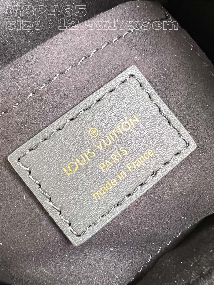 LOUIS VUITTON 루이비통 카메라 박스백 M82465