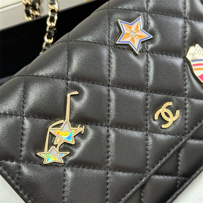 Chanel 샤넬 WOC 19CM, AS96045
