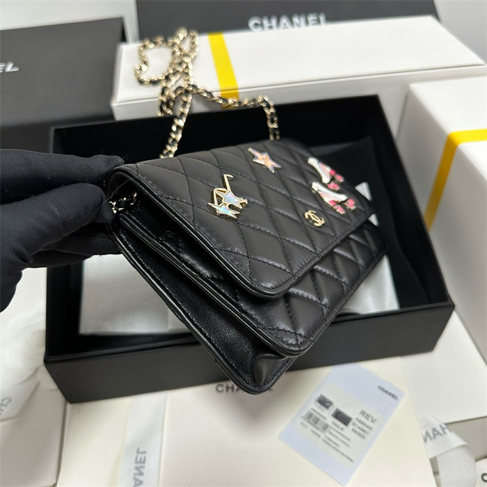 Chanel 샤넬 WOC 19CM, AS96045