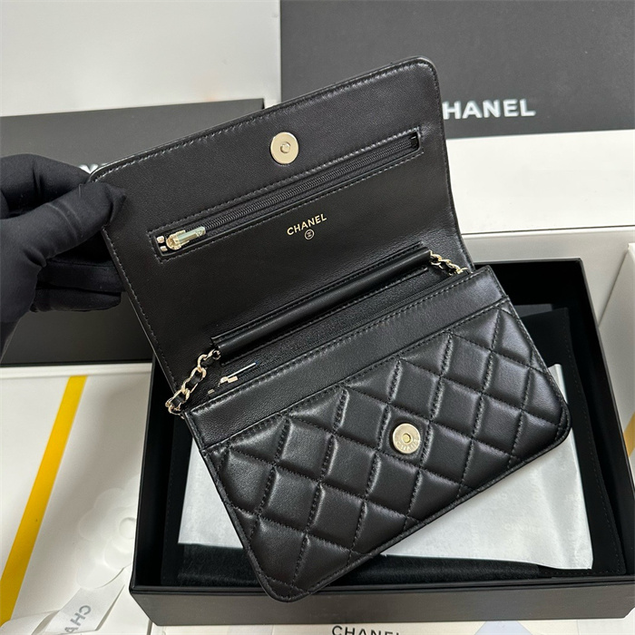 Chanel 샤넬 WOC 19CM, AS96045