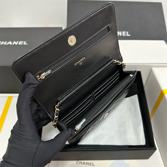 Chanel 샤넬 WOC 19CM, AS96045