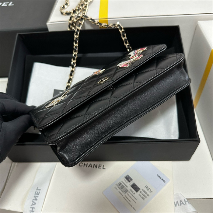 Chanel 샤넬 WOC 19CM, AS96045