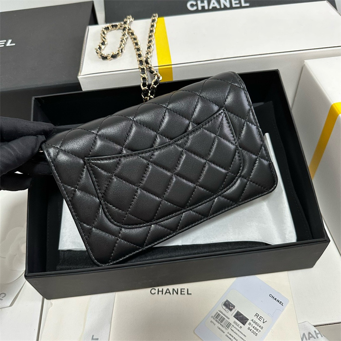 Chanel 샤넬 WOC 19CM, AS96045