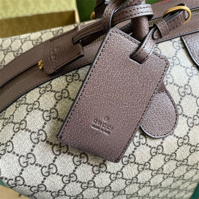 GUCCI  구찌 GG 더블백 여행구 760228
