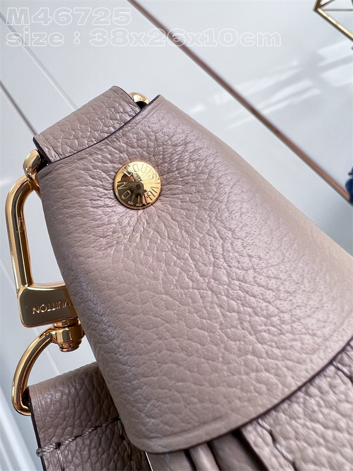 LOUIS VUITTON  루이비통 루프 호보백 M46725