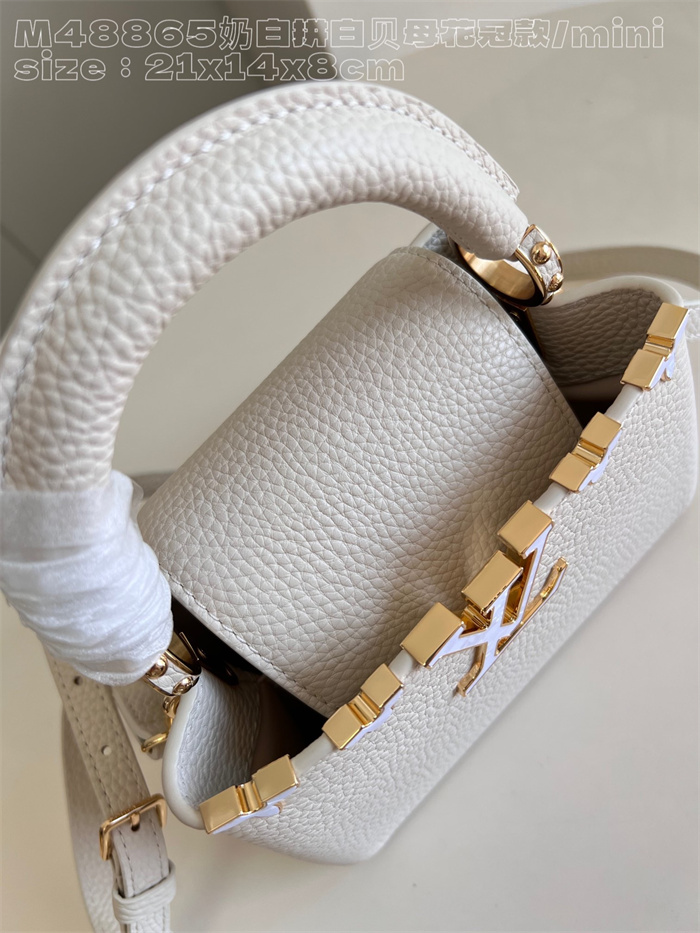 LOUIS VUITTON 루이비통 카푸신 M48865