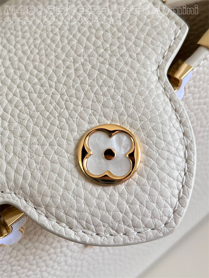 LOUIS VUITTON 루이비통 카푸신 M48865
