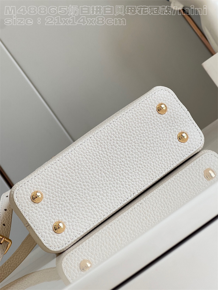 LOUIS VUITTON 루이비통 카푸신 M48865
