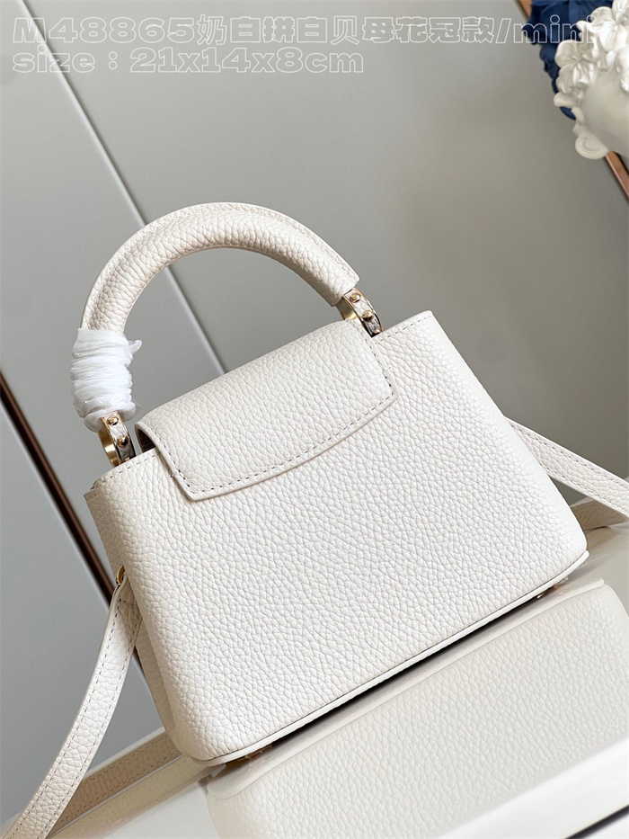 LOUIS VUITTON 루이비통 카푸신 M48865