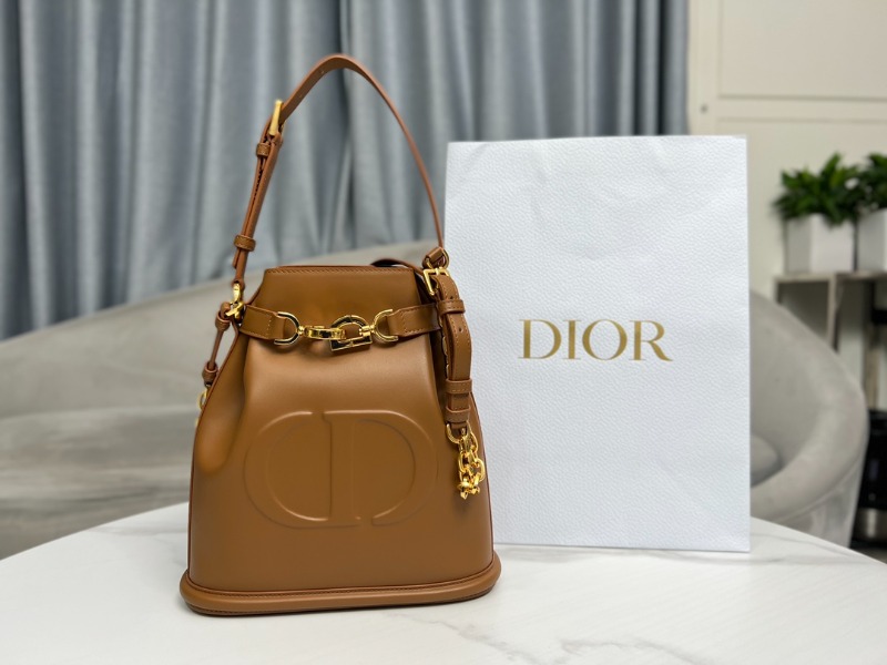  [배우 이민정] DIOR 디올 C'EST DIOR 미디엄 백 브라운