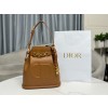  [배우 이민정] DIOR 디올 C'EST DIOR 미디엄 백 브라운