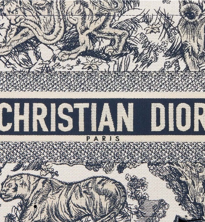 Dior 디올 여성 크리스찬 북토트