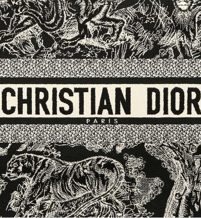 Dior 디올 여성 크리스찬 북토트