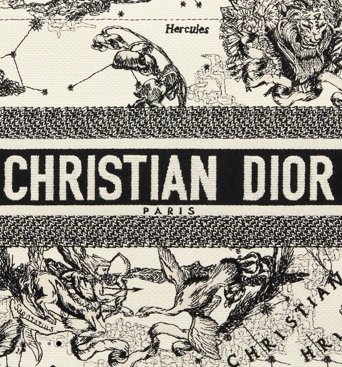 Dior 디올 여성 크리스찬 북토트