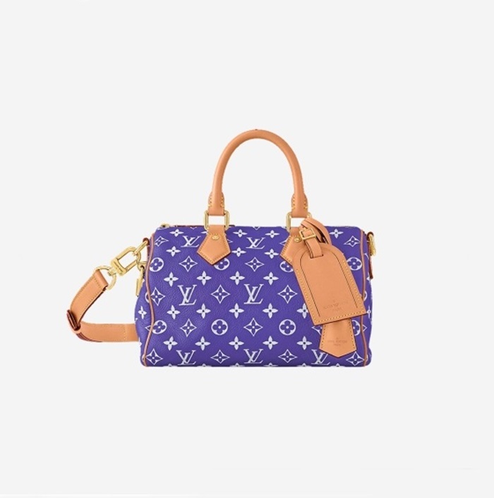 LOUIS VUITTON 루이비통 남성 스피디 P9 반둘리에 25