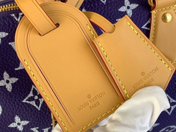 LOUIS VUITTON 루이비통 남성 스피디 P9 반둘리에 25